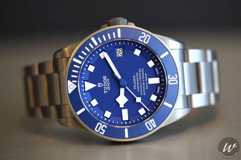 tudor watch blue face